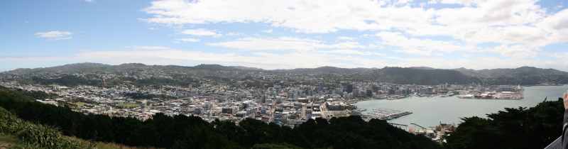 Nieuw-Zeeland 2011 - 0893